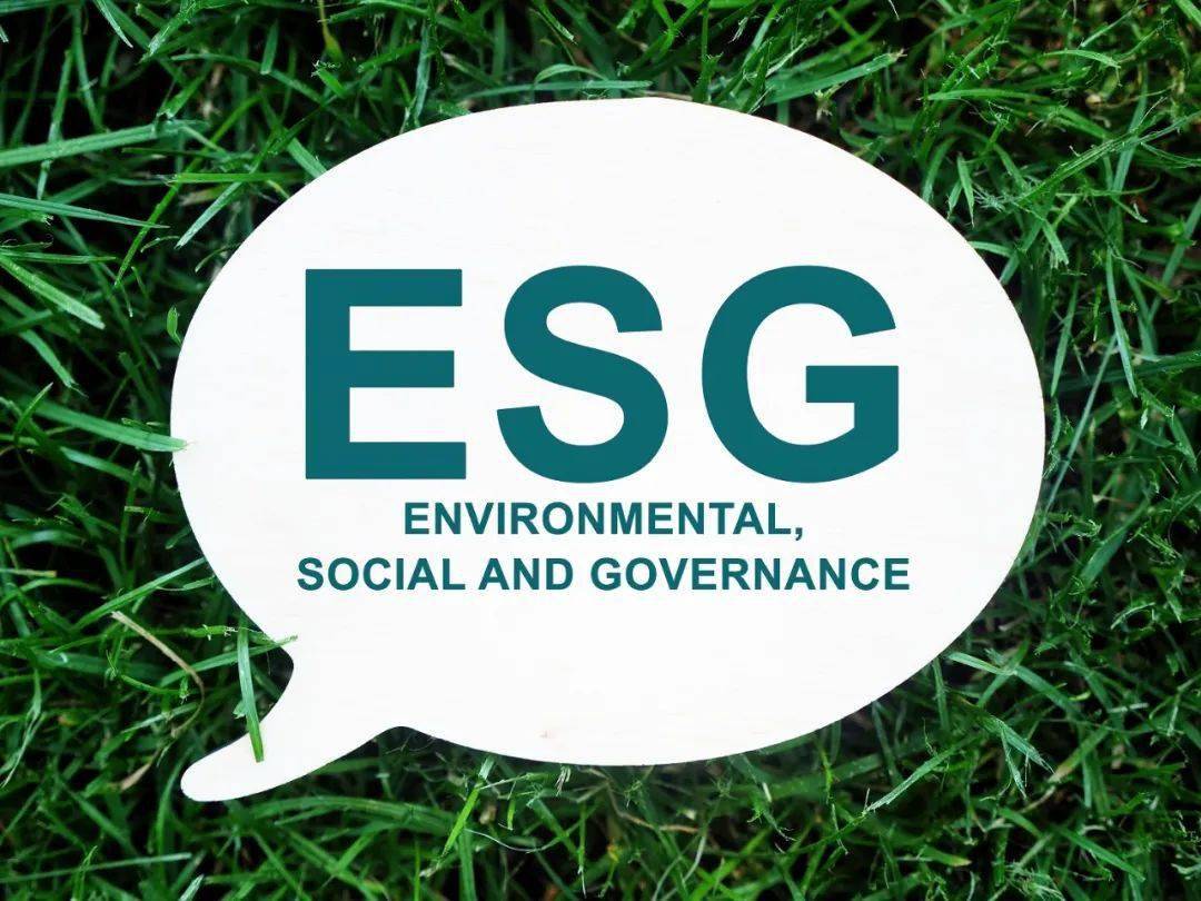 ESG（環(huán)境、社會、治理）